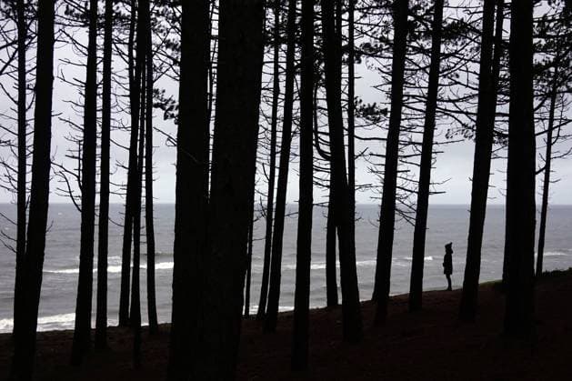 20.11.2021, Ustka, Pommern, POL - Silhouette: Frau steht am Rande eines Waldes und schaut auf die Ostsee. (allein, anonym, Anonymitaet, aussen, Aussenaufnahme, Baeume, Baumstaemme, Depression, depressiv, einsam, Einsamkeit, Emotion, Europa, europaeisch, Frau, Freizeit, Gegenlicht, Gegenlichtaufnahme, Gesellschaft, Gewaesser, Jahreszeit, Landschaft, Meer, Melancholie, melancholisch, Mensch, Natur, Osteuropa, Ostsee, Person, Polen, polnisch, Pommern, QF, Querformat, Schattenrisse, Scherenschnitte, Silhouetten, stehend, steht, trist, Tristesse, Umrisse, ungewiss, Ungewisse Zukunft, Ustka, verlassen, Wald, Waldkante, Wasser, Winter, Zukunft, Zukunftsaussichten) 211120D407USTKA.JPG *** 20 11 2021, Ustka, Pomerania, POL silhouette woman standing