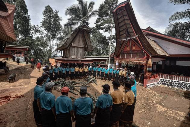 IMAGO Cultures of the world, Toraja Volk in Indonesien Indonesia: Death ceremony tradition in Tana Toraja Toraja people dance the ma badong dance at the funeral ceremony of Rambu Solo. Rambu Solo is the last tribute to the person who has died. Toraja people believe that by performing the Rambu Solo ceremony their soul is liberated. Rambu Solo also aims to deliver the soul of someone who has died to the spirit realm and completes someone s death. In this ceremony, 8-100 pigs and buffaloes are usually slaughtered depending on the social strata of the deceased as condolences. toraja South Sulawesi Indonesia Copyright: MochxFarabixWardana