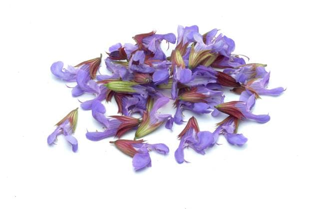 Echte Salbei, Salvia officinalis, auch Garten-Salbei, Küchensalbei oder Heilsalbei, Anwendungsgebiete sind unter anderem Husten, Heiserkeit, Halsschmerzen, Verdauungsprobleme, Zahnfleischentzündungen und übermäßiges Schwitzen. Salbei kann innerlich und äußerlich angewendet werden Real sage, Salvia officinalis, also garden sage, kitchen sage or healing sage, areas of application include cough, hoarseness, sore throat, digestive problems, gum inflammation and excessive sweating. Sage can be used internally and externally, Heilpflanzliche Anwendung ohne Gewähr, Aufnahmedatum unbekannt
