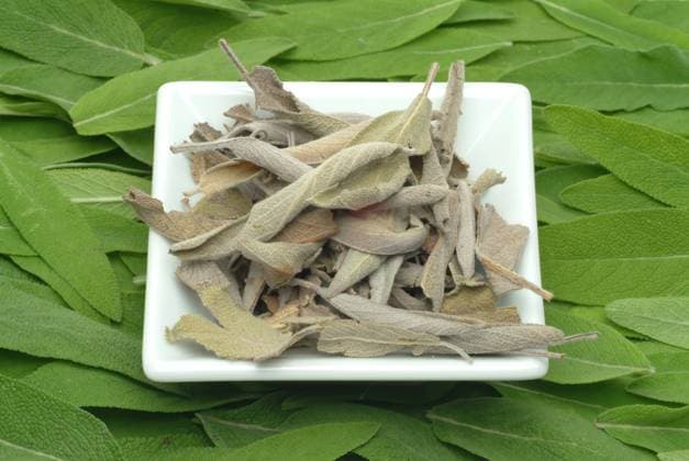 Echte Salbei, Salvia officinalis, auch Garten-Salbei, Küchensalbei oder Heilsalbei, Anwendungsgebiete sind unter anderem Husten, Heiserkeit, Halsschmerzen, Verdauungsprobleme, Zahnfleischentzündungen und übermäßiges Schwitzen. Salbei kann innerlich und äußerlich angewendet werden Real sage, Salvia officinalis, also garden sage, kitchen sage or healing sage, areas of application include cough, hoarseness, sore throat, digestive problems, gum inflammation and excessive sweating. Sage can be used internally and externally, Heilpflanzliche Anwendung ohne Gewähr, Aufnahmedatum unbekannt