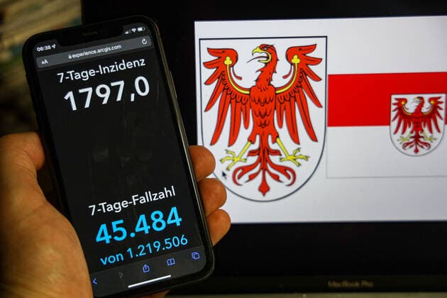 Coronavirus in Deutschland - Covid-19-Dashboard des Robert Koch-Institut DEU, Deutschland, Brandenburg 13.02.2022: Die 7-Tage-Inzidenz für das Bundesland (Fälle letzte 7 Tage 100.000 EW) wird auf einem iPhone angezeigt, im Hintergrund das Landeswappen