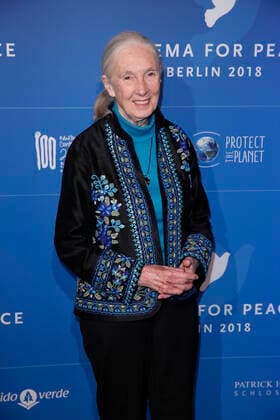 Jane Goodall CINEMA FOR PEACE Gala am 20. Februar 2018 im Hotel de Rome in Berlin *** Jane Goodall Cinema for Peace Gala on 20 February 2018 at Hotel de Rome in Berlin Copyright: xVISTAPRESSx xG.xChlebarov