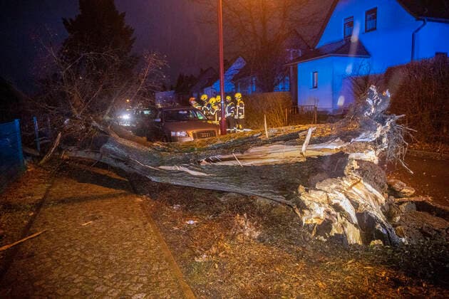 ID 535 Sturmchaos in Sachsen. Orkantief Ylenia fegt seit den Morgenstunden über Sachsen hinweg und verursacht unzählige Feuerwehreinsätze. Im Minutentakt werden Feuerwehren im Erzgebirgskreis und der Stadt Chemnitz alarmiert. Oftmals handelt es sich um umgestürzte Bäume. Auf der Hoffmannstraße in Chemnitz ging für den Morgenverkehr nichts mehr. Ein großer Baum stürzte von einem Grundstück auf die Fahrbahn. Er fehlte nur knapp ein PKW. In Niederwürschnitz auf dem Querweg war das Leid geteilt. Ein PKW Fahrer hatte weniger Glück. Ein Baum krachte auf seinen Audi die Hausbesitzer nebenan haben hingegen Glück gehabt. Der große Baum krachte zwar in ihr Grundstück, verfehlte aber die Wohnhäuser nur knapp. Nicht nur Sturm ist e