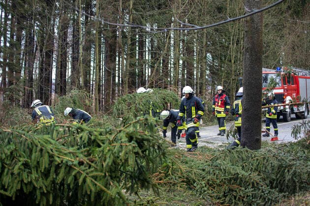 ID 537 Dramatische Situationen das Orkantief auf der S 277 zwischen Börnichen und Hohndorf (bei Zschopau). Mehrere Autofahrer waren von umstürzenden Bäumen eingeschlossen. Zwei riesige Fichten trafen zwei PKW. Dabei hatte ein Fahrer gleich mehrere Schutzengel. Der Baum traf sein Auto komplett, nur nicht die Fahrerseite. Die Autofahrer verließen teilweise mit laufendem Motor ihre Fahrzeuge und flüchteten aus dem Wald. Die Feuerwehr Börnichen kam zum Einsatz. Auch für die Kameraden begann eine gefährliche Rettungsaktion. Einsatzleiter Rene Schmidt: Noch als wir ankamen, krachten die Bäume hinter uns und vor uns auf die Straße. Wir fanden die Fahrzeuge vor, mit laufendem Motor aber ohne den Insassen. Wir durchsuchten den Wald, oh