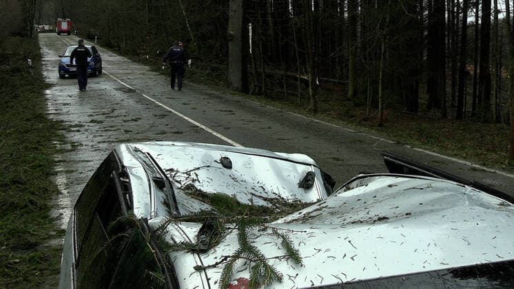 ID 537 Dramatische Situationen das Orkantief auf der S 277 zwischen Börnichen und Hohndorf (bei Zschopau). Mehrere Autofahrer waren von umstürzenden Bäumen eingeschlossen. Zwei riesige Fichten trafen zwei PKW. Dabei hatte ein Fahrer gleich mehrere Schutzengel. Der Baum traf sein Auto komplett, nur nicht die Fahrerseite. Die Autofahrer verließen teilweise mit laufendem Motor ihre Fahrzeuge und flüchteten aus dem Wald. Die Feuerwehr Börnichen kam zum Einsatz. Auch für die Kameraden begann eine gefährliche Rettungsaktion. Einsatzleiter Rene Schmidt: ãNoch als wir ankamen, krachten die Bäume hinter uns und vor uns auf die Straße. Wir fanden die Fahrzeuge vor, mit laufendem Motor aber ohne den Insassen. Wir durchsuchten den Wald, ohne Ergebniss