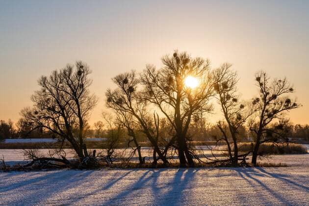 Sonnenuntergang in den Oder-Auen im Winter, Nationalpark Unteres Odertal, Uckermark, Brandenburg, Deutschland, Europa *** Sunset in the Oder floodplains in winter, Lower Oder Valley National Park, Uckermark, Brandenburg, Germany, Europe Copyright: imageBROKER OliverxGerhard ibxoge08165631.jpg