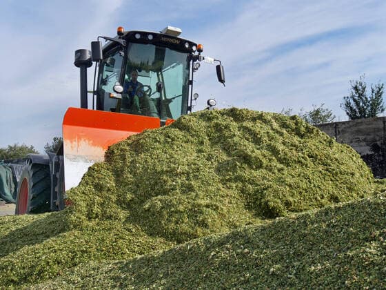 IMAGO Nature: Unsere Erde, Energiequellen, Biomasse Mais verdichten fuer eine Biogasanlade mit einem Trecker auf einem Bauernhof Gehaeckselter Mais wird fuer Biogasanlage verdichtet *** Compacting corn for a biogas plant with a tractor on a farm Compressed corn for a biogas plant