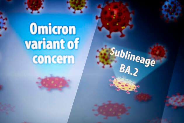 February 23, 2022, Asuncion, Paraguay: Illustration: In-camera multiple exposure image shows visual depiction of Sublineage BA.2 on a smartphone in front of the designation Omicron variant of concern and visual representation of virus. Asuncion Paraguay - ZUMAc217 20220223_zip_c217_002 Copyright: xAndrexM.xChangx