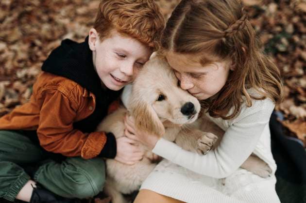 Siblings embracing golden retriever puppy in forest model released property released, ELEF00044