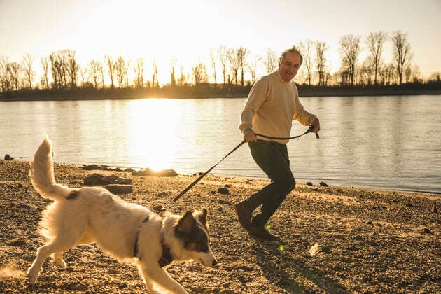 Happy senior man holding pet leash running with dog at beach on sunset model released property released, UUF25617