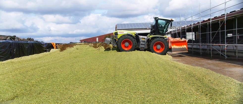 Mais verdichten fuer eine Biogasanlade mit einem Trecker auf einem Bauernhof Gehaeckselter Mais wird fuer Biogasanlage verdichtet *** Compacting corn for a biogas plant with a tractor on a farm Compressed corn for a biogas plant