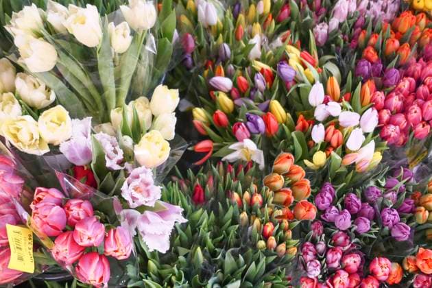 News Bilder des Tages Schnittblumen Verkauf Stäusse- gesehen am 25.02.2022 in Hannover *** Cut flowers sale stalls seen on 25 02 2022 in Hanover
