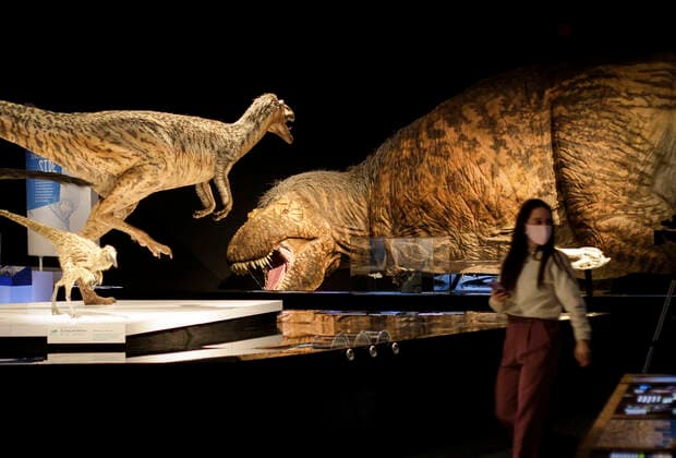 (220225) -- VANCOUVER, Feb. 25, 2022 -- A Life-sized model of a Tyrannosaurus rex (T. rex) is displayed during a media preview of the T. rex: The Ultimate Predator at Science World in Vancouver, British Columbia, Canada, on Feb. 25, 2022. T. rex: The Ultimate Predator is a massive feature exhibition which introduces visitors to the entire tyrannosaur family through life-sized models, fossil casts, and interactive experiences. The exhibition runs from Feb. 26, 2022 to Jan. 22, 2023. (Photo by Xinhua) CANADA-VANCOUVER-EXHIBITION-DINOSAUR-T. REX LiangxSen