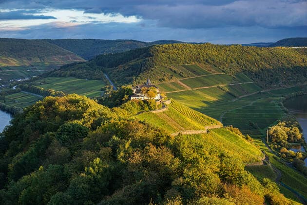 Weinbau - Moselschleife - Blick auf die Marienburg bei Pünderich kurz vor Sonnenuntergang. Weinanbau in deutschen Weinbaugebieten - idyllischer Sonnenuntergang zwischen den Weinreben an einem Weinberg. Rund um die ausgedehnten Schlängelungen der Mosel und des Rheins sind die besten Weinsorten der Republik zu finden. Steile Hänge, zum Teil mit Südlage garantieren für intensive Sonneneinstrahlung und entsprechend hochwertige Weiß- und Rotweine. Symbolfoto. Region an der Mosel Rheinland-Pfalz Deutschland *** Viticulture Moselschleife view of the Marienburg near Pünderich shortly before sunset viticulture in German wine-growing regions idyllic sunset between the vines on a vineyard Around the extensive meanders of the Mosel and the Rhine