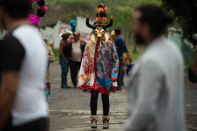 February 28, 2022: Residents of the town of Alto Tio Diego celebrate the traditional Afro-Mexican carnival. In this carnival, the residents usually wear wooden masks in the form of animals such as cows, bulls, horses and other costumes. This is a tradition that has been celebrated since the colonial era of Mexico - ZUMAqp1_ 20220228_zip_qp1_030 Copyright: xHectorxAdolfoxQuintanarxPerezx