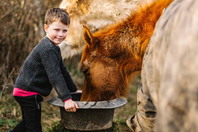 IMAGO Creative, Kinder auf dem Reiterhof Creative Highlights Symbolbilder Side view of cute boy in rubber boots feeding brown horse from bucket standing near fence in enclosure, Model released HodeiUnzueta_WinterHorses_26.jpg Copyright: xHodeixUnzuetax MR