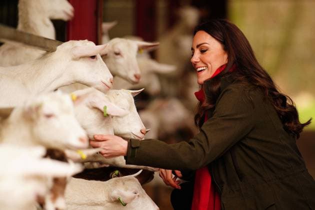 Bilder des Jahres 2022, Entertainment 03 März Entertainment Themen der Woche KW09 Entertainment Bilder des Tages . 01 03 2022. Abergavenny, United Kingdom. Prince William and Kate Middleton, the Duke and Duchess of Cambridge ,during a visit to a goat farm near Abergavenny in Wales, United Kingdom.  xi-Imagesx xPoolx IIM-23140-0074