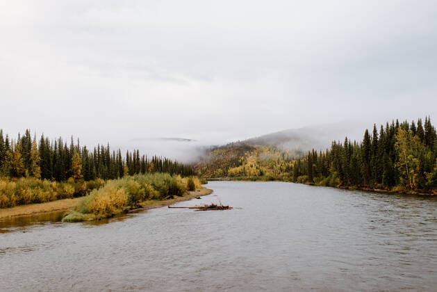 Canada, Yukon, Whitehorse, River and forest on cloudy and foggy day Canada, Yukon, Whitehorse, River and forest on cloudy and foggy day