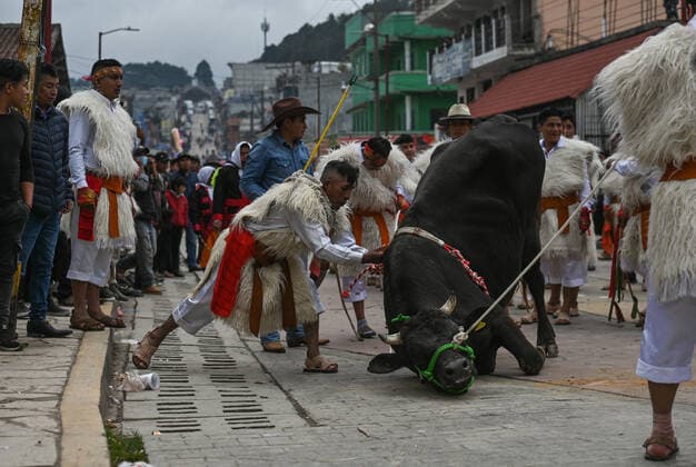 San Juan Chamula Carnival Ends With Running Of The Bulls A scene of bull running through the streets of San Juan Chamula on the last day of the annual carnival also known as K in Tajimoltic. On Tuesday, February 1, 2022, in San Juan Chamula, Chiapas, Mexico. San Juan Chamula Mexico  Copyright: xArturxWidakx originalFilename: widak-sanjuanc220301_npNDs.jpg