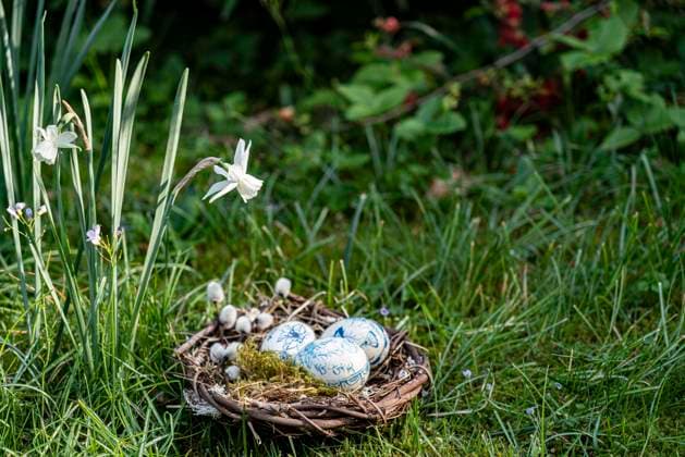 Ostern, Osternest im Frühlingsbeet *** Easter, Easter nest in spring bed Copyright: imageBROKER AngelikaxJakob ibxswx08170948.jpg