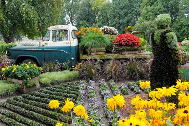Blumenbeete, Pflanzenskulptur, Botanischer Garten, Montreal, Provinz Quebec, Kanada, Nordamerika *** Flower beds, plant sculpture, botanical garden, Montreal, province of Quebec, Canada, North America Copyright: imageBROKER GuentherxSchwermer iblgsc08168941.jpg