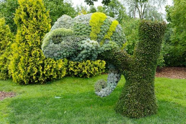 Chamäleon, Pflanzenskulptur, Botanischer Garten, Montreal, Provinz Quebec, Kanada, Nordamerika *** Chameleon, plant sculpture, Botanical Garden, Montreal, Quebec Province, Canada, North America Copyright: imageBROKER GuentherxSchwermer iblgsc08169161.jpg