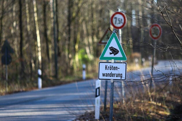 Hinweisschild auf anstehende Krötenwanderung *** Sign about upcoming toad migration Copyright: xLobeca RalfxHomburgx