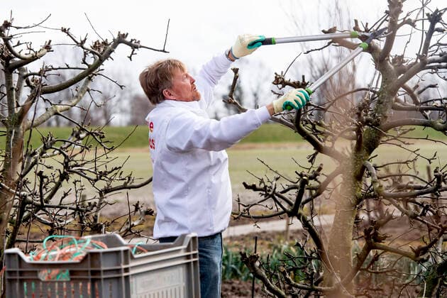 Entertainment Themen der Woche KW10 Entertainment Bilder des Tages 12-03-2022 Brielle Queen Maxima and King Willem-Alexander voluntering at Zorgboerderij Op Aarde in Brielle for NLdoet of the Oranje Fonds. The royals helped with the pruning of the pear trees, the cleaning of the garden furniture, the animal houses and the interior spaces of the care farm Â  Copyright: xPPEx