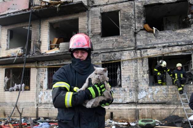 Ukraine-Krieg, Jahrestag der Invasion, Chronologie der Ereignisse, Archivbilder Bilder des Jahres 2022, News 03 März News Themen der Woche KW11 News Bilder des Tages Residential Building That Was Hit By A Shell As Russia s Attack On Ukraine Continues Firefighter carries a cat that was rescued from a flat in residential building which was hit by a shell, as Russia s attack on Ukraine continues, in the Obolon district in Kyiv, Ukraine, March 14, 2022. Kyiv Ukraine  Copyright: xMaxymxMarusenkox originalFilename: musienko-notitle220314_npsaL.jpg