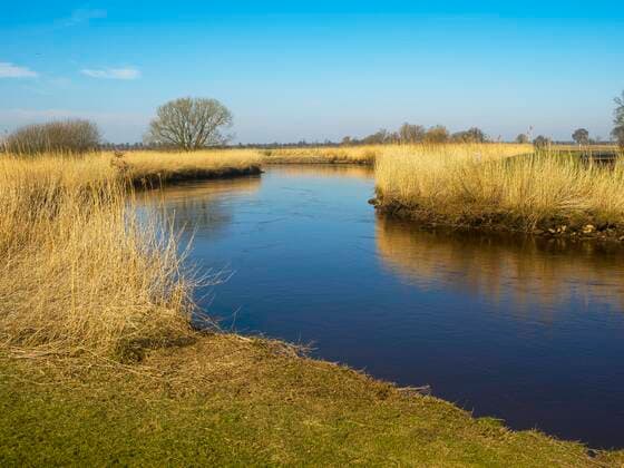  Nebenfluss der Ems, Leda, bei Potshausen, Bundeswasserstraße, Ostfriesland, Deutschland, Europa *** Tributary of the Ems, Leda, near Potshausen, federal waterway, East Frisia, Germany, Europe Copyright: imageBROKER/WernerxWulf ibxwwu08186883.jpg