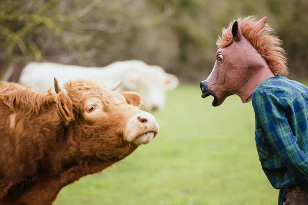 Creative Highlights Symbolbilder Side view of faceless person with horse mask standing at pasture and watching on brown cow on blurred background, Model released HodeiUnzueta_AmongCows_6.jpg Copyright: xHodeixUnzuetax MR