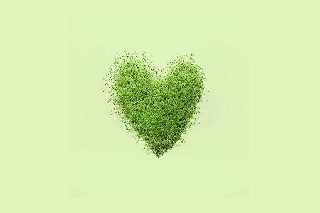 Creative Highlights Symbolbilder Creative heart shape made of lush fresh green plants and grass placed on empty clear green background representing spring concept ValeriiaSviridova_SpringGreenery_3.jpg Copyright: xValeriiaxSviridovax Model Released