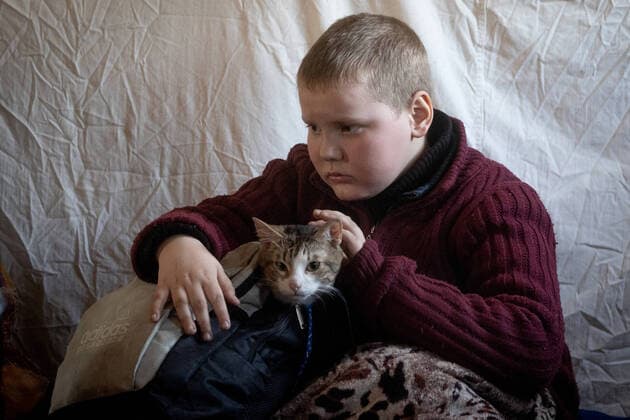 LUGANSK REGION, UKRAINE - MARCH 16, 2022: An evacuated child pets a cat at a reception point for residents of the city areas of Lisichansk, Rubezhnoye, and Severodonetsk, set up by the emergencies ministry of the Lugansk Peopleâ€™s Republic on the outskirts of Starobelsk for further evacuation. Tension began to escalate in Donbass on 17 February, with the Donetsk People s Republic and the Lugansk People s Republic reporting the most intense shellfire in months. Early on 24 February, Russia s President Putin announced his decision to launch a special military operation in response to requests from the leaders of the Donetsk People s Republic and the Lugansk People s Republic. Stanislav Krasilnikov TASS EDITORIAL USE ONLY; NO COMMERCIAL USE;  TS127F9F
