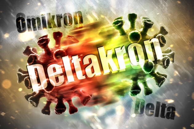 FOTOMONTAGE, Coronaviren, Hybridvariante Deltakron *** PHOTOMONTAGE, coronavirus, hybrid variant deltacron. ** NUR FUER REDAKTIONELLE ZWECKE ** EDITORIAL USE ONLY **
