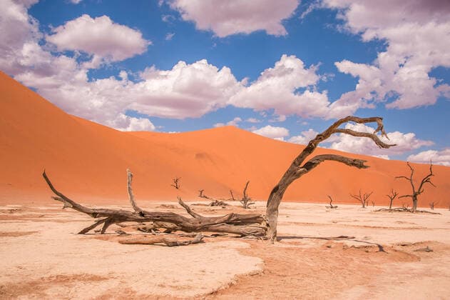 Creative Highlights World African scenery China, 20 06 2019, Copyright: xViewxStockx, dspd88408f10.jpg, Africa,Desert,Outdoors,Sky,Nature,Travel,Drought,Scenics,Sand Dune,Sand,Nobody,Landscape,Land Feature,Photography,Tranquil scene,Sunlight,Tourist Resort,Color Image,Day,Horizontal,Physical Geography,Low Angle View,Remote,Beauty In Nature,Arid Climate,Non-Urban Scene,Rolling Landscape,Barren,Image Type,Tree,Hill,Mountain Range,Tree Trunk,Wilted Plant,Exploration,Gobi Desert,Geology,Badlands,Journey,Natural Phenomenon,Extreme Terrain,Climate,Tourism,Local Landmark,International Landmark,Bad Condition Copyright: xViewxStockx