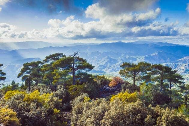 Creative Highlights World Pano Platres in Troodos mountains, Cyprus. Travel and tourism., model released, , property released, , 33482062.jpg, troodos, cyprus, pano platres, platres, landscape, travel, tourism, mountains, sunset, beautiful, cloud, forest, green, hill, mountain, nature, outdoor, plano, sky, summer, tree, view, beauty in nature, idyllic, scenics, high angle view, no people, environment, sunlight, tranquility, mountain range, travel destinations