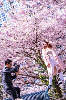 April 1, 2022, Vancouver, Vancouver, CANADA, Canada: VANCOUVER, CANADA - APRIL 1: A woman poses for photos under a cherry trees on April 1, 2022 in Vancouver, Canada. .Cherry blossom trees are origin in Japan, which is very successful for colour palette ranging from soft white to delicate rose to deep and glorious pink, cherry blossoms have long been a symbol of springtime in Vancouver, Canada. Vancouver Canada - ZUMAp175 1010981724st Copyright: xClo LioxTomazx