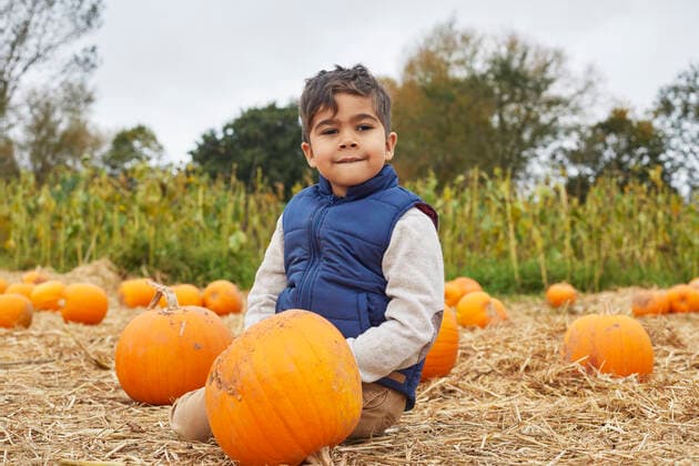 Portrait of boy (4-5) sitting inÃäpumpkinÃäfield Portrait of boy sitting inÃäpumpkinÃäfield ISC12439965