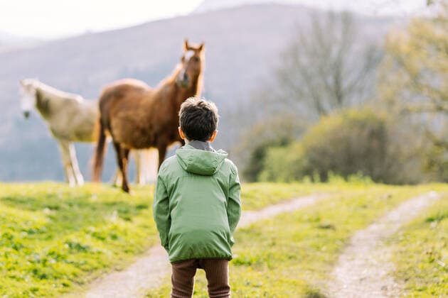 IMAGO Creative, Kinder auf dem Reiterhof Back view of unrecognizable boy in jacket standing on grassy rural path near horses in nature with trees against mountain, Model released HodeiUnzueta_BicycleRide_39.jpg Copyright: xHodeixUnzuetax MR