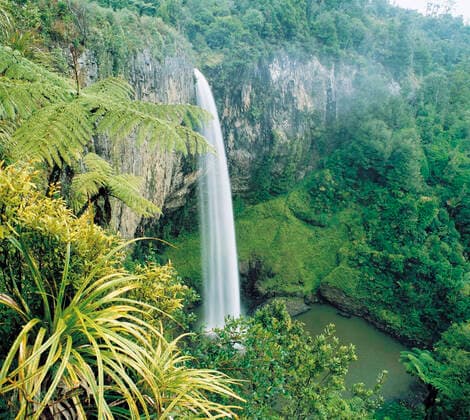IMAGO Nature: Unsere Erde, Umweltverträgliche Herausforderungen, Regenwald Waterfall in rainforest elevated view , 9915472.jpg, Fresh, Lush, Powerful, Purity, Refreshing, Green, Cliff, Tropical rainforest, Fresh water, Waterfall, Tropics, Beauty, Idyllic, Landforms, Outdoors, View from above, Nobody, Photography, Water, rock face, escarpment, bluff, precipice, wooded, Rainforest, Forest, Woodland, trees, rain forest, woods, jungle, from above, above, high angle view, high angle, overview, tropical, cooling off, refreshment, refreshed, refresh, pureness, clean, pure, pristine, force, power, outside, verdant, lushness, topographical, topographic, topography, nature, Natural world, paradise, Water, freshness, attractive, beautiful,