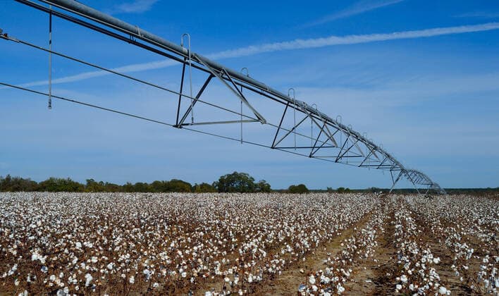 IMAGO Nature: Unsere Erde, Klimawandel, Baumwolle Irrigation pivot in cotton field , 9970622.jpg, Irrigation, pivot, cotton, farm, agriculture, harvest,