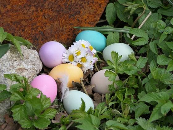 Ostern *** Easter 1088813956