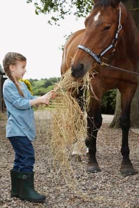 IMAGO Creative, Kinder auf dem Reiterhof Girl Feeding Horse Hay, model released, , property released, , 10022934.jpg, Adorable, Animal, Boots, Caring, Casual, Child, Childhood, Children, Day, Eating, Elementary, Feeding, Food, Friendship, Full Length, Fun, Girl, Happiness, Hay, Horse, Leisure, One, Outdoors, People, Person, Pet, Rural, Scotland, Side View, Sky, Smiling, Standing, Straw, Togetherness, Vertical, Wellington,