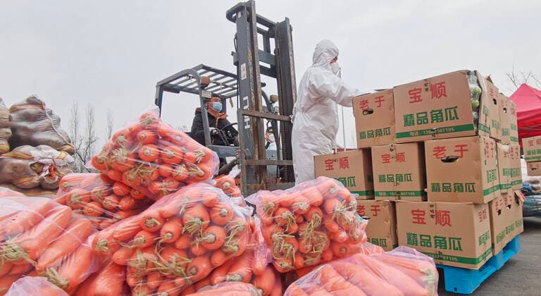(220413) -- SHENYANG, April 13, 2022 -- Volunteers transport vegetable in an agricultural products distribution center in Shenyang, northeast China s Liaoning Province, April 11, 2022. The commercial department of Liaoning organized about 2,300 tons of rice, flour, cooking oil, vegetables and other food for citizens in Shanghai to overcome a local COVID-19 resurgence. The first batch of 900 tons of living materials were shipped from Dalian on Tuesday. CHINA-LIAONING-SHANGHAI-FOOD-SUPPORT (CN) YangxQing 