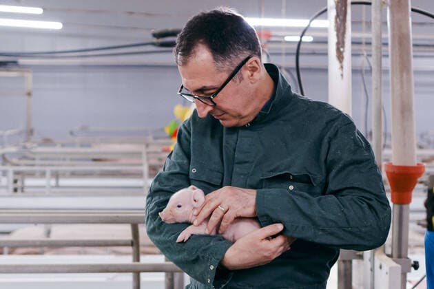 Bilder des Jahres 2022, News 04 April News Themen der Woche KW15 News Bilder des Tages Cem Oezdemir (Buendnis 90 Die Gruenen), Bundesminister fuer Landwirtschaft und Ernaehrung, haelt im Abferkelstall des Schweinehaltungsbetrieb von Jan-Hendrik Hohls ein Ferkel auf dem Arm. Bergen, 13.04.2022. Bergen Germany *** Cem Oezdemir Buendnis 90 Die Gruenen , Federal Minister of Agriculture and Food, holding a piglet in his arms in the farrowing pen of Jan Hendrik Hohls pig farm Bergen, 13 04 2022 Bergen Germany Copyright: xThomasxTrutschelx
