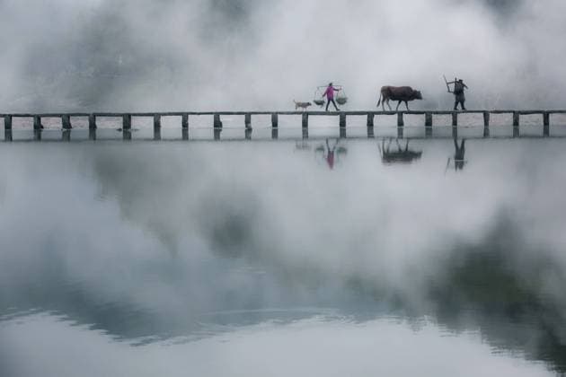 IMAGO Creative: Dichotomien, Reflexionen Scenic spot of Jinyun scenic spot in Lishui of Zhejiang China, 26 04 2021, Copyright: xViewxStockx, 396-0011388.jpg, Zhejiang lishui, jinyun, send, scenic spots, travel, outdoor, jiangnan, water, the sky, the morning, morning glory, the countryside, water, reflections, the surface of the water, lakes, trees, old man, cattle, pick burden, woman, dog, Shi Liang bridge, ancient bridge, bridge, mountain, fog, dreamy, ink painting, quiet, local, Zhu Tanshan, DingHuFeng, farming, the tomb-sweeping day, working Copyright: xViewxStockx