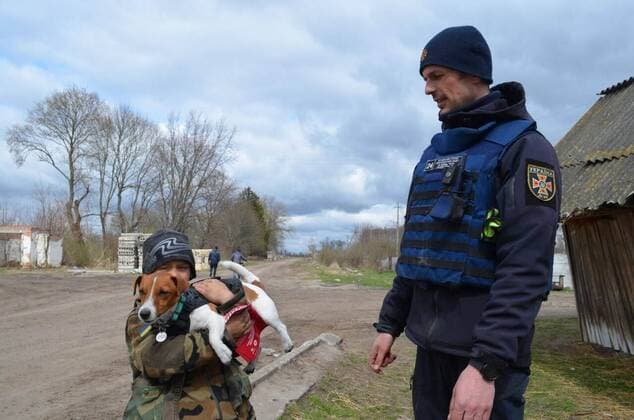 VIDEO AVAILABLE: CONTACT INFO@COVERMG.COM These images and video show a Ukrainian pyrotechnic squad at work in Shestovytsia in the Chernihiv region on Tuesday (19April2022), greeting children and another dog alongside their beloved mascot Patron (aka ?Bullet? in translation). Among the tanks and armoured vehicles, a huge number of shells, mortar mines, grenades, ammunition State Emergency Service of Ukraine sappers are clearing the territory of dangerous materials. The Jack Russell terrier has become something of an internet hit for his exploits - which have involved helping Ukrainian soldiers sniff out and locate mines and explosives. To make people aware of mine safety issues, rescuers are interviewing locals and handing out warni Copyright: xx 51429175 EDITORIAL USE ONLY. NOT FOR USE BY NEWSPAPERS BASED IN THE UK.