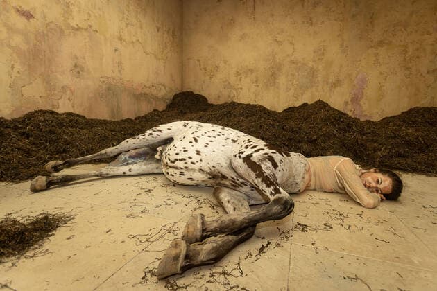Bilder des Jahres 2022, Entertainment 04 April Entertainment Themen der Woche KW16 The pavilion of Denmark pictured at the 59th Venice Biennale - La Biennale di Venezia, International Art Exhibition, Thursday 21 April 2022, in Venice, Italy, Thursday 21 April 2022.  JAMESxARTHURxGEKIERE 34126077
