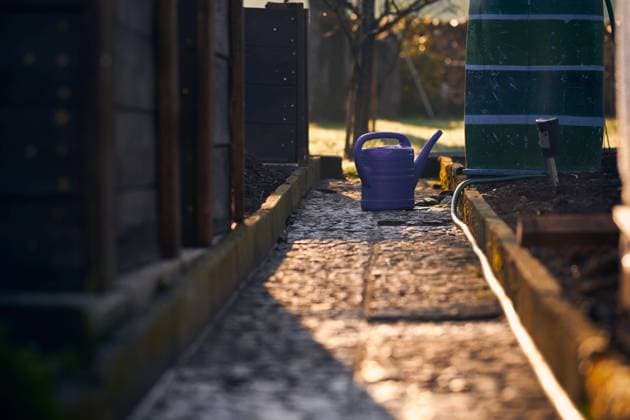 IMAGO Creative: Garten, Anbau im Hochbeet Burgenland, Austria - April 20, 2022: blaue Giesskanne steht neben dem Hochbeet und einem Regenfass. Burgenland Austria *** Burgenland, Austria April 20, 2022 blue watering can stands next to the raised bed and a rain barrel Burgenland Austria 