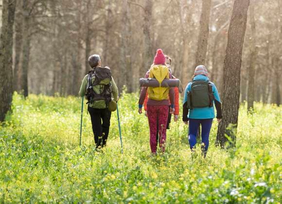 Mature men and women wearing backpacks walking in forest model released, Symbolfoto, JCCMF06071